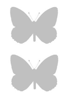 Hyponephele lycaonoides